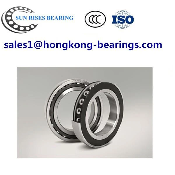 100BER19XV1V Bearing